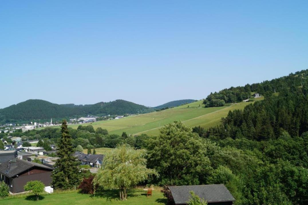 Ferienwohnung Kohlerhagen In Willingen Willingen  Exteriér fotografie